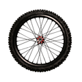 Rueda delantera 21" con neumático Arctic Leopard EX